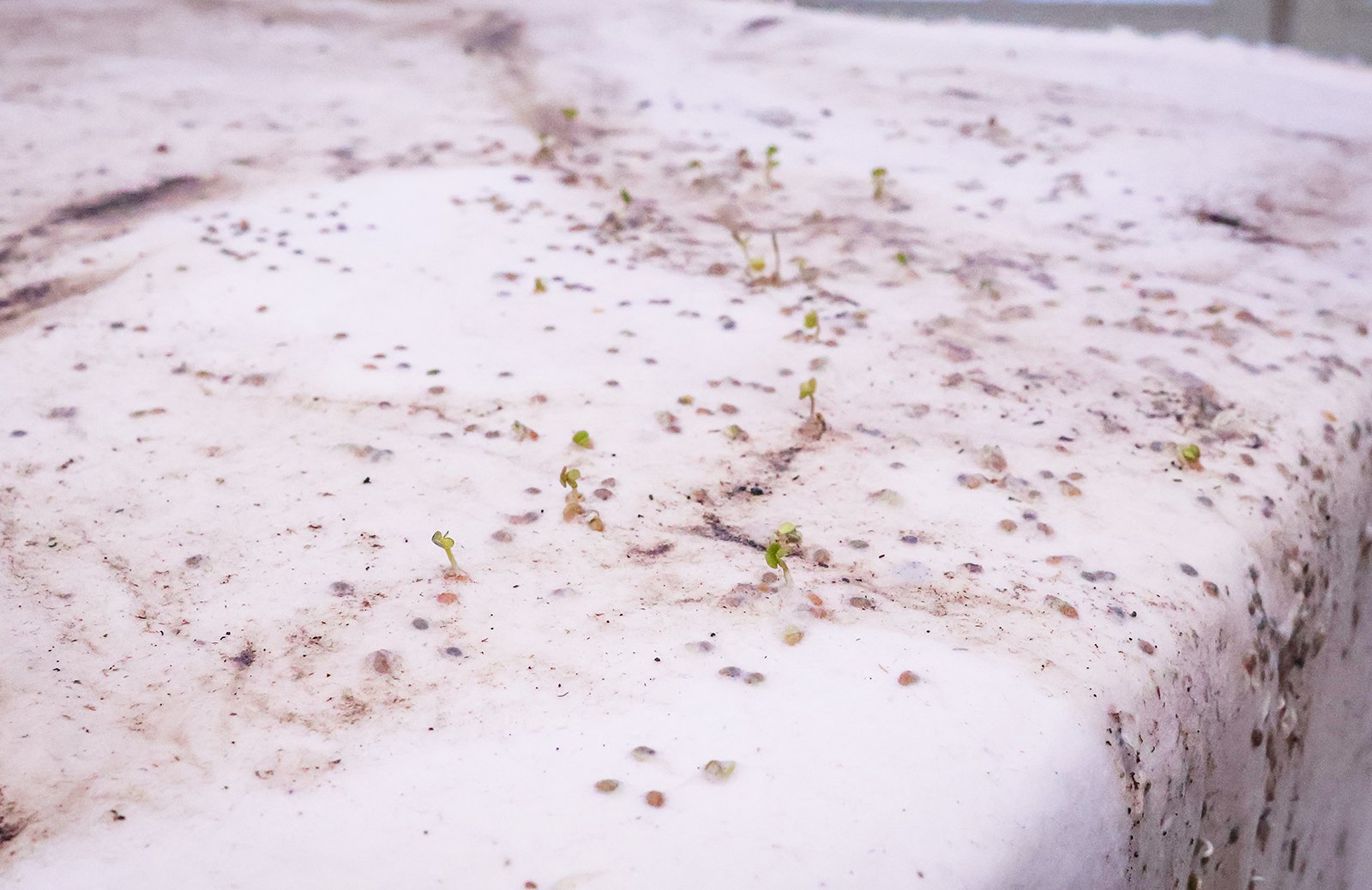 Wystawa w Muzeum Przyrodniczym