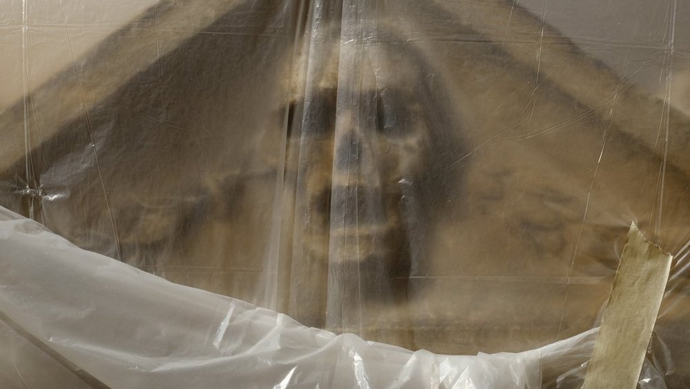 "Deadline" exhibition by Tomasz Ferenc – photo of a skull