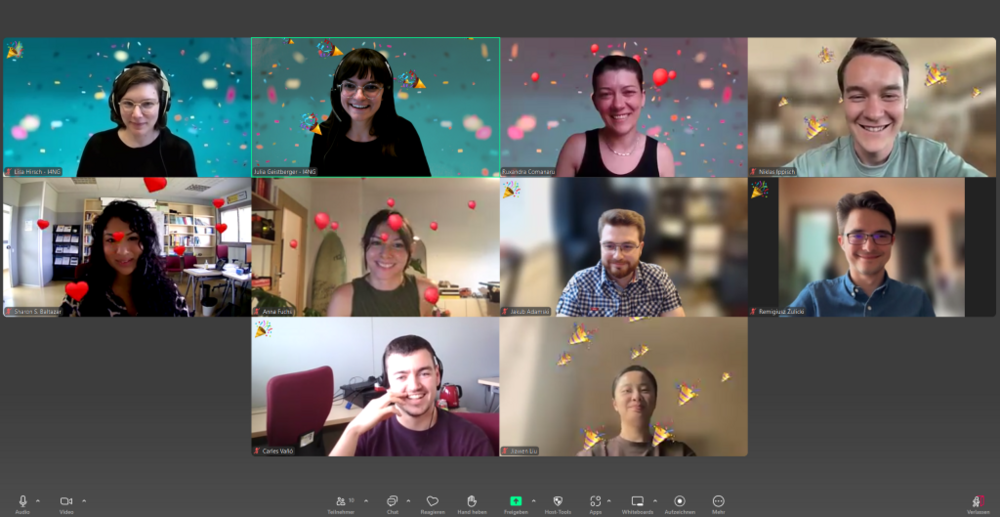 a screenshot from the online meeting