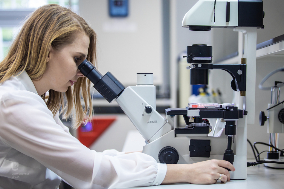 Biokompozyty grafika