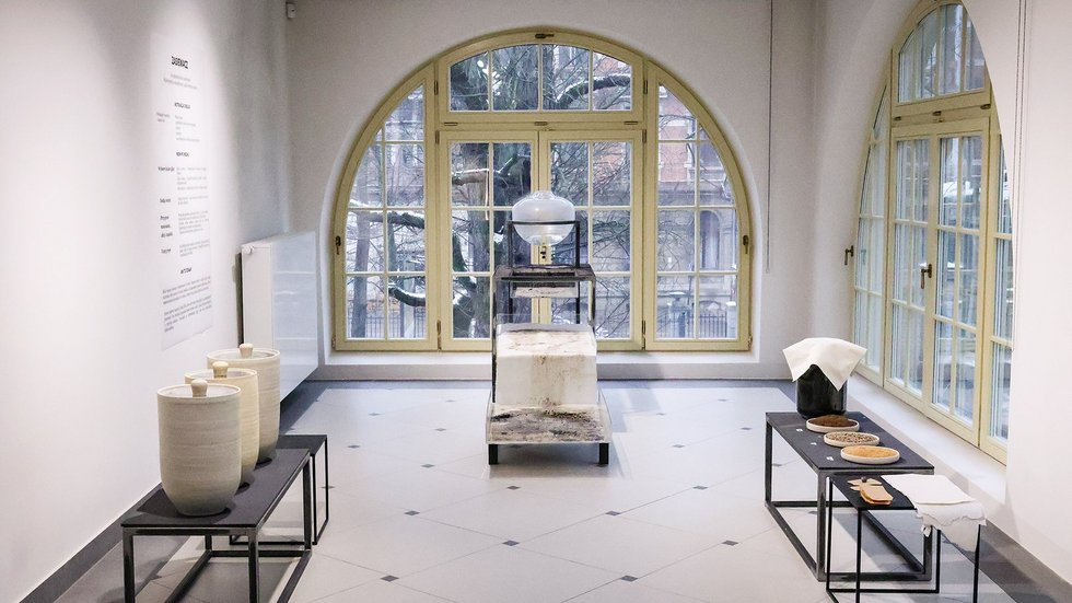 „Papier lakmusowy / Niepokorna ziemia”