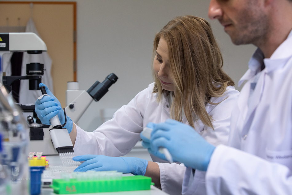 Biokompozyty grafika