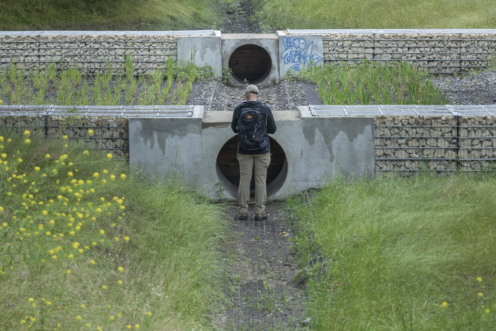 zdjęcie z warsztatów, mężczyzna fotografujący w plenerze zdjęcie z warsztatów, mężczyzna fotografujący w plenerze