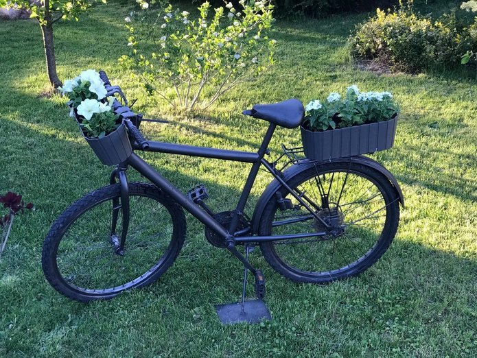 rower przerobiony na kwietnik